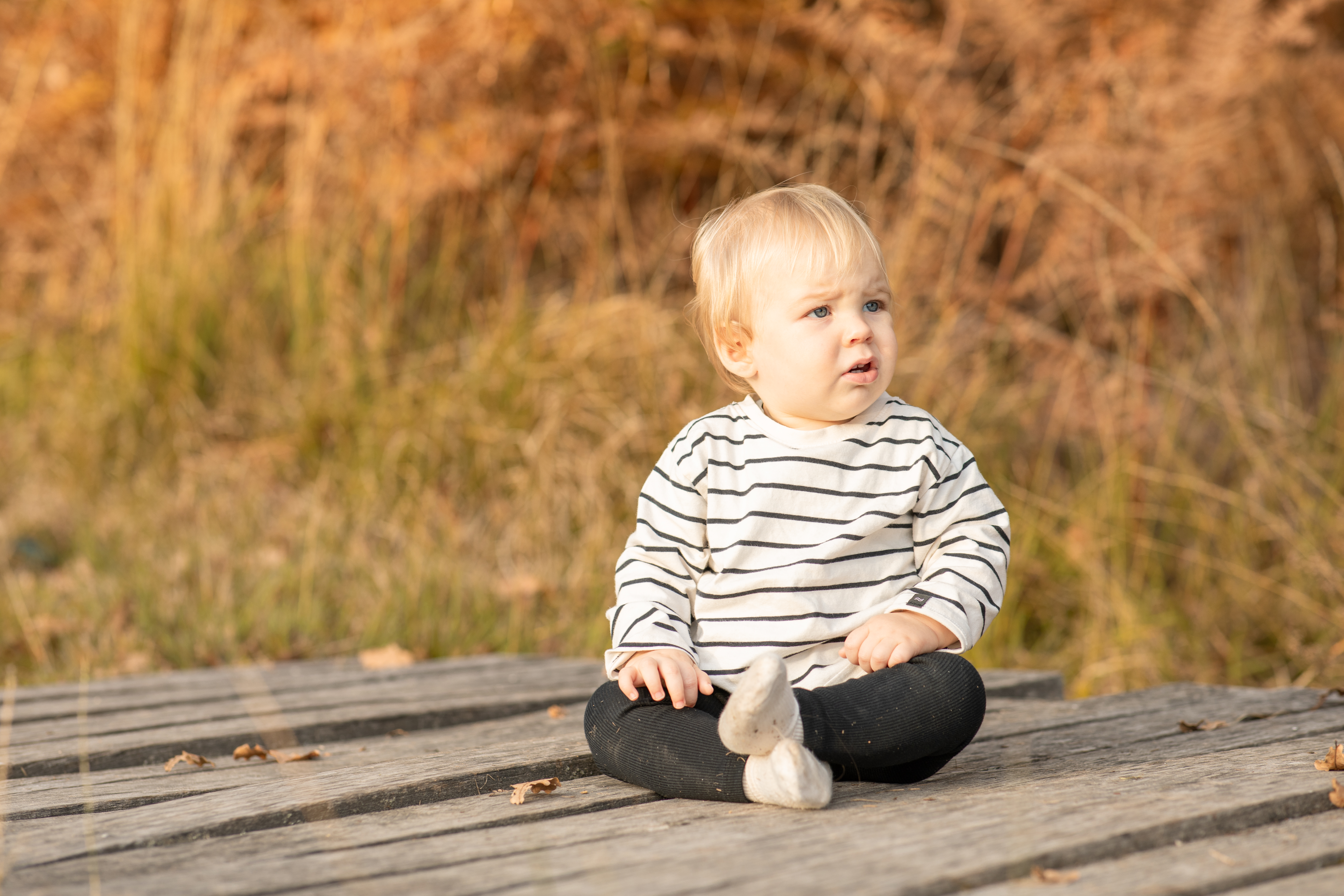 Carte Cadeau Photo dans les Landes : Offrez des Souvenirs à vos Proches Photo d'un shooting bébé en forêt pour une carte cadeau